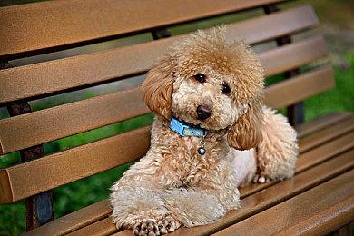 《Concord》似乎被索尼抛弃 PlayStation官推已经不宣传这款游戏